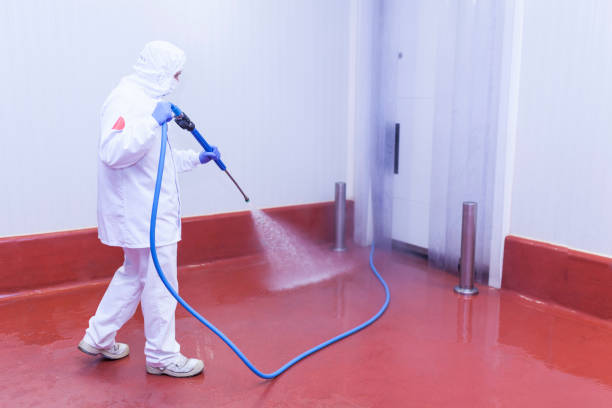 Best Concrete Sealing  in Lambertville, NJ